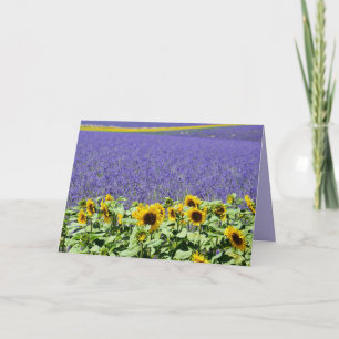LIEBE UND PRAYER, LAVENDER FELD CHRISTLICHE KARTEN