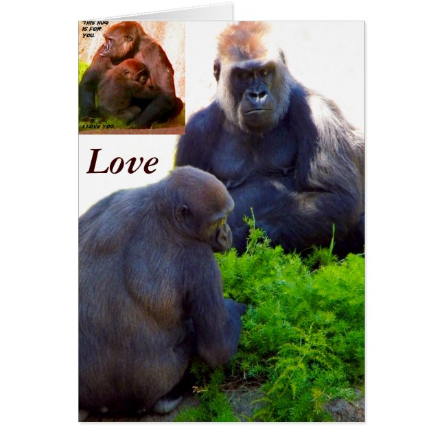 Liebe und Schutz_ (Vorne)