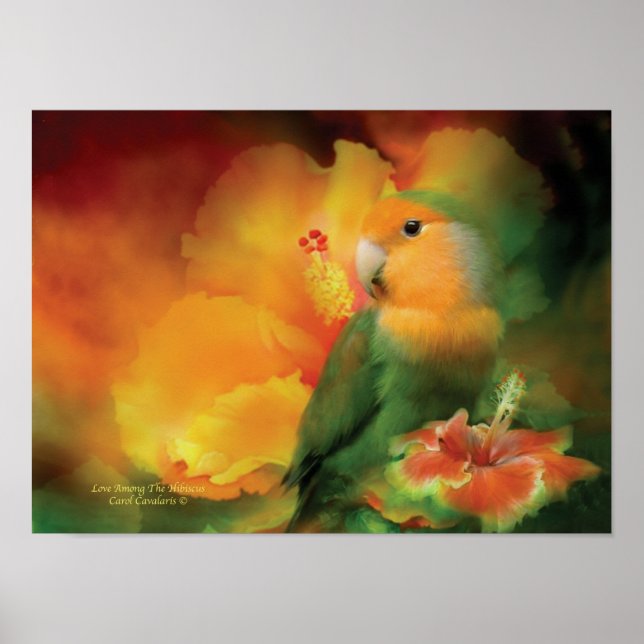 Liebe unter dem Hibiskus Art Poster/Print Poster (Vorne)