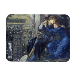 Liebe unter den Ruinen (von Edward Burne-Jones) Magnet