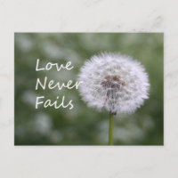 Liebe Versage Dandelion1 Korinther 13