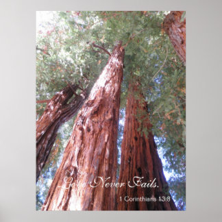 Liebe Versage nie Poster