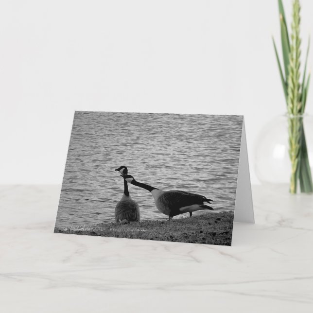 Liebe-Vögel B&W Karte (Vorderseite)