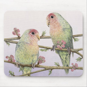 Liebe-Vögel Mousepad