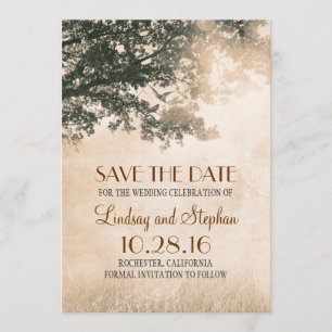 Liebe-Vogel-Paar-alter Baum lädt Save the Date ein
