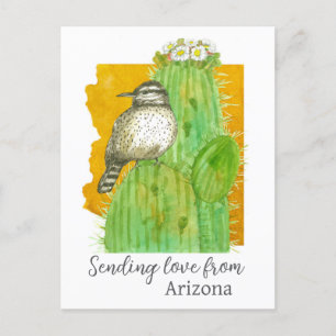 Liebe von Arizona Saguaro Cactus Wren Postkarte