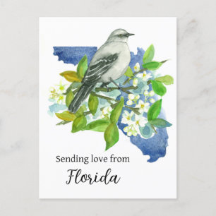 Liebe von Florida Mockingbird Orange senden Postkarte