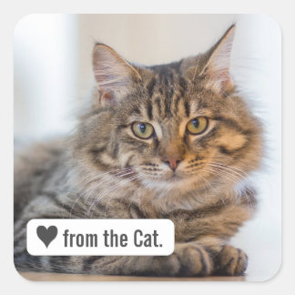 Liebe von Katze mit Heart Square Envelope Sticker