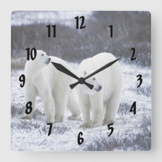 Liebe von Polar Bear Quadratische Wanduhr