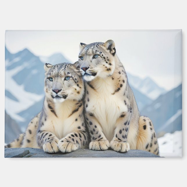 Liebe von Snow Leopard Tierart Zuneigung Magnet (Vorderseite)