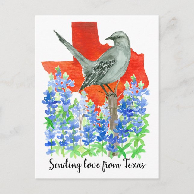 Liebe von Texas Mockingbird Bluebonnets Postkarte (Vorderseite)