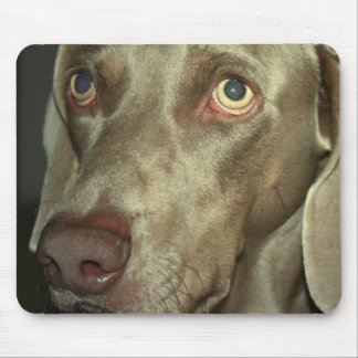 Liebe Weimeraner Mausunterlage Mousepad
