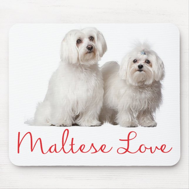 Liebe Weiß Malteser Welpen-Hundemousepad Mousepad (Vorne)