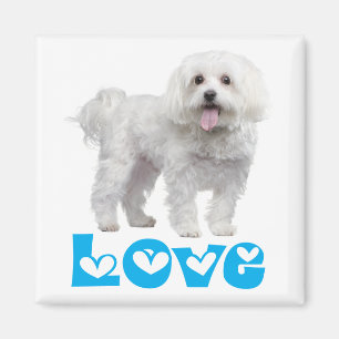 Liebe weiße Malteser-Welpen-Hund-Kühlschrankmagnet Magnet