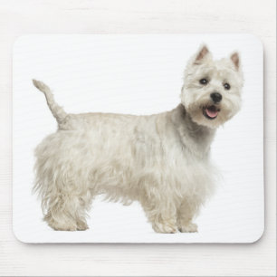 Liebe Weiße West Highland Terrier Hund Mauspad