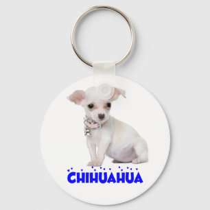 Liebe Weißer Chihuahua-Welpen-Hund Blaue Herz Schlüsselanhänger