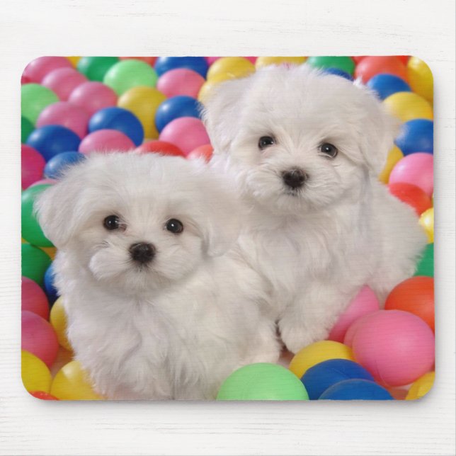 Liebe White Bichon Frise Welpe Hund Mousepad (Vorne)