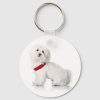 Liebe White Bichon Frise Welpe Hund Schlüsselanhän