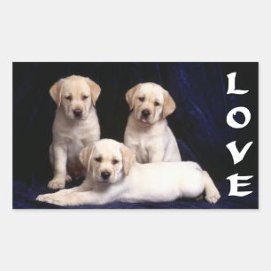 Liebe White Labrador Retriever Puppy Docking Stick Rechteckiger Aufkleber
