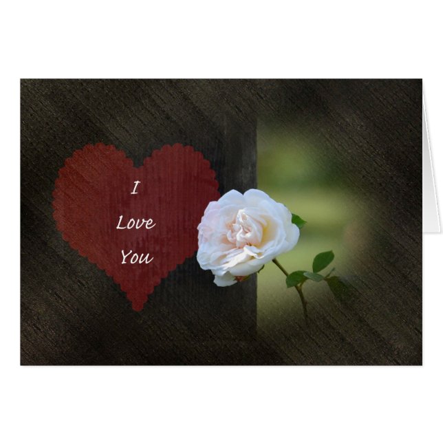 Liebe White Rose (Vorderseite (Horizontal))