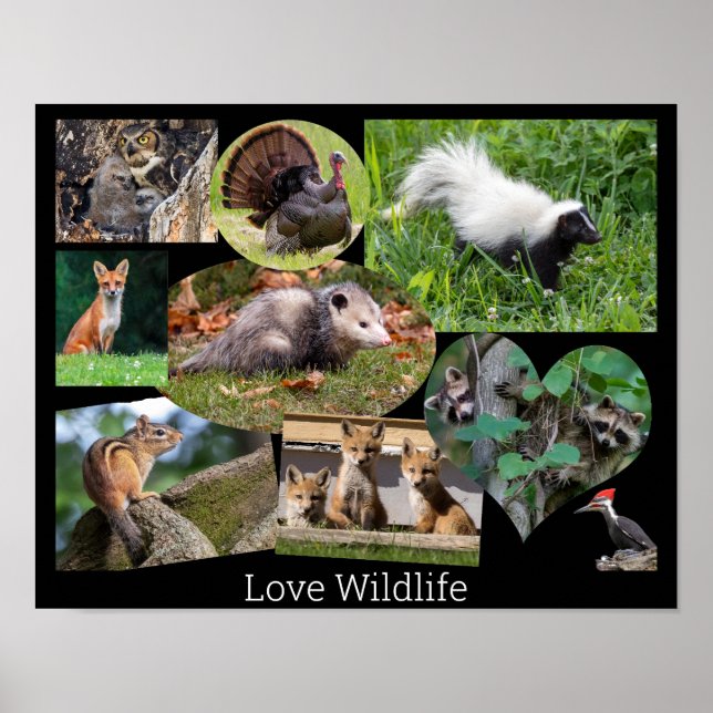 Liebe Wildlife Niedlicher Tiere Poster (Vorne)