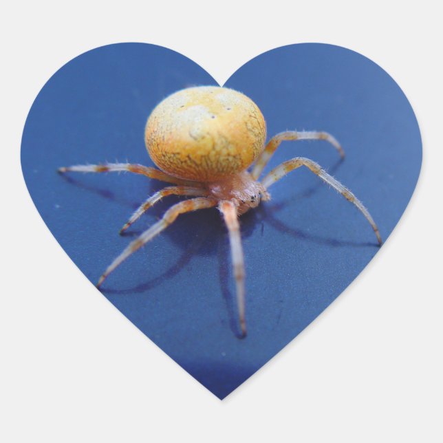 Liebe Wildlife Stickers - Orange Orb Spinner Spide (Vorderseite)