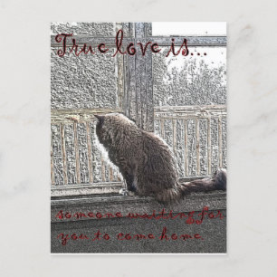 Liebe wird gewartet postkarte