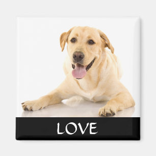 Liebe Yellow Labrador Retreiver Magnet