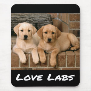 Liebe Yellow Labrador Retriever Puppy Hund Mouse P Mousepad