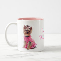 Liebe Yorkie Yorkshire Terrier Welpe Doppy Coffee