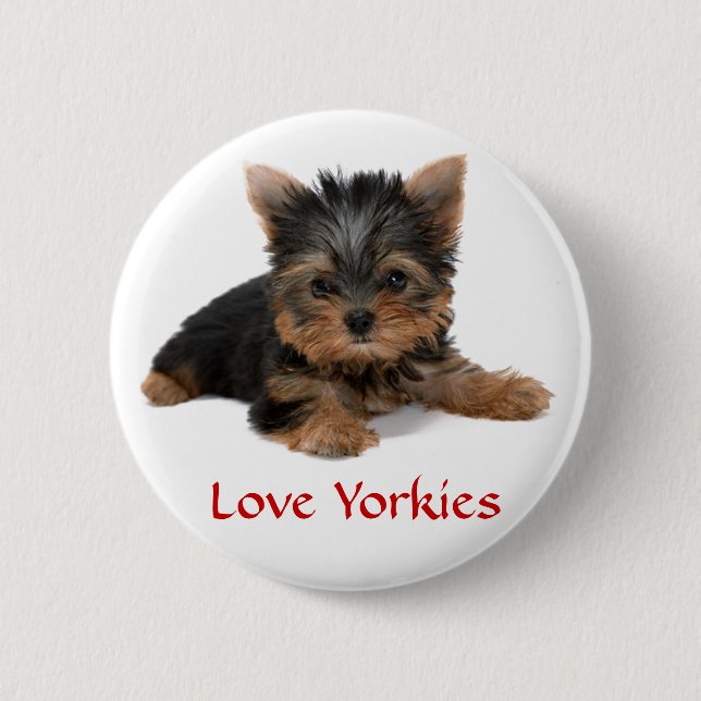 Liebe Yorkies Welpe Button Button (Vorderseite)