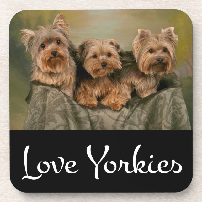 Liebe Yorkies Yorkshire Terrier Puppy Dog Unterset Untersetzer (Vorderseite)