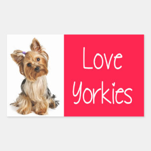 Liebe Yorkies Yorkshire Terrier Welpen Hund Aufkle Rechteckiger Aufkleber