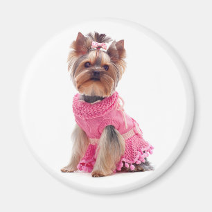 Liebe Yorkshire Terrier Puppy Dog Magnet