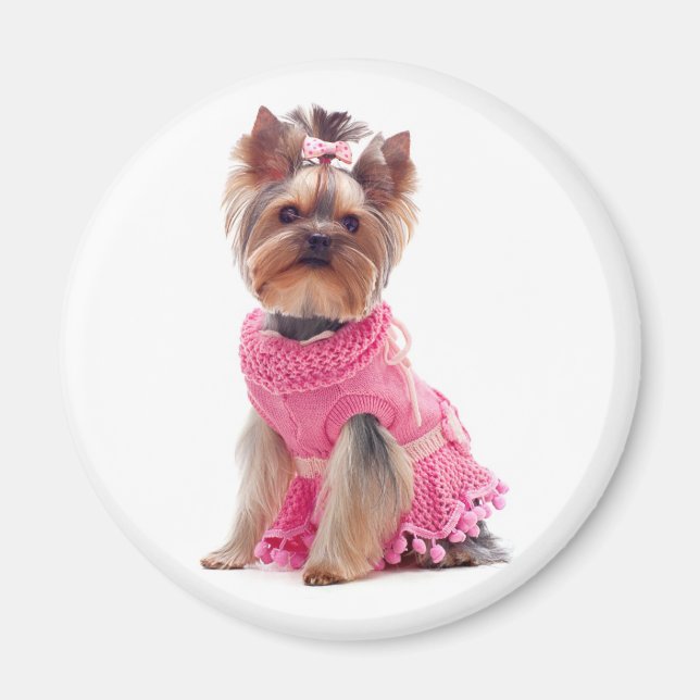 Liebe Yorkshire Terrier Puppy Dog Magnet (Vorne)