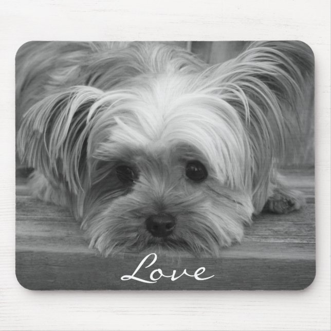 Liebe Yorkshire Terrier Puppy Dog Mousepad (Vorne)