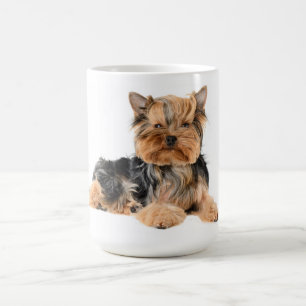 Liebe Yorkshire Terrier Welpen-Hund - Yorkie Kaffeetasse