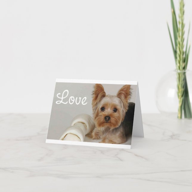Liebe Yorkshire Terrier Welpen Lederkarte Karte (Vorderseite)