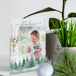 Liebe You Oma Winter Forest Overlay Fotoblock