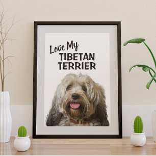 Liebe zu meinem Tibetan Terrier Portrait Poster