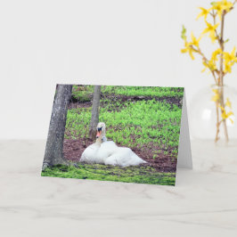 Liebe zwischen Mutter und Kind Karte