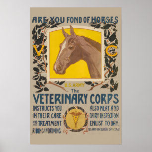 Lieben Sie Pferde US Army Veterinärmedizin Poster
