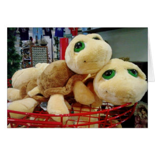 ***LIEBEN TURTLES*** NUR FÜR SIE!