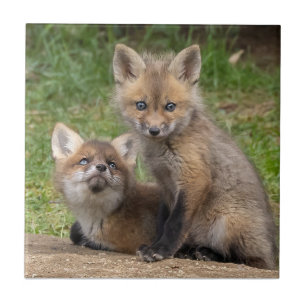 Liebende Augen Fliese