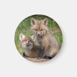 Liebende Augen Magnet