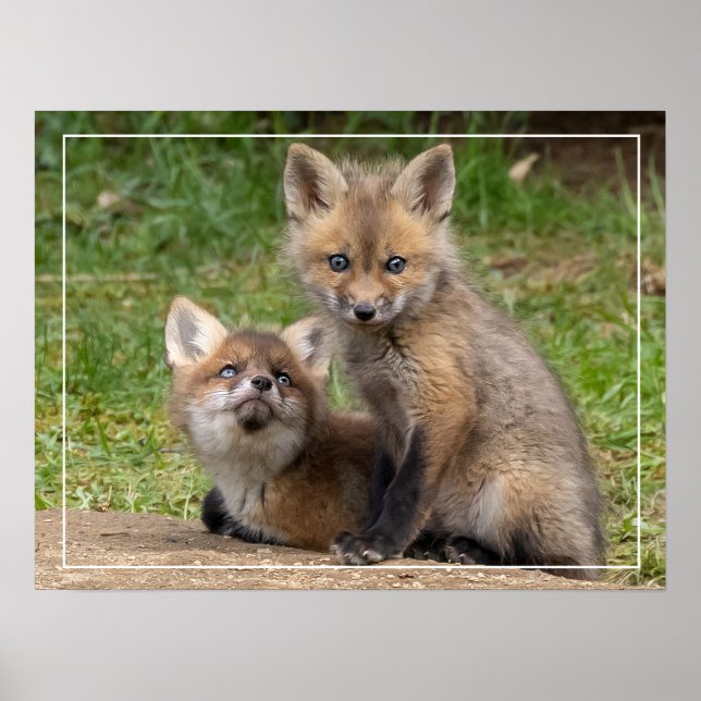 Liebende Augen Poster (Vorne)