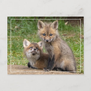 Liebende Augen Postkarte