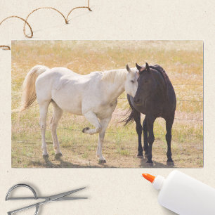 Liebende Pferde Seidenpapier
