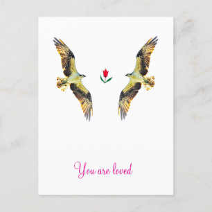 Liebende Vögel. Ospreys Feiertagspostkarte