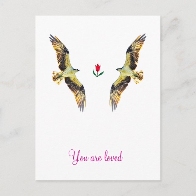 Liebende Vögel. Ospreys Postkarte (Vorderseite)